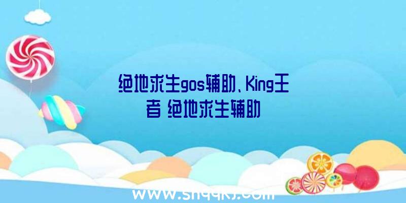 绝地求生gos辅助、King王者